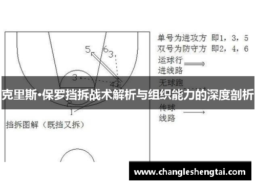 克里斯·保罗挡拆战术解析与组织能力的深度剖析