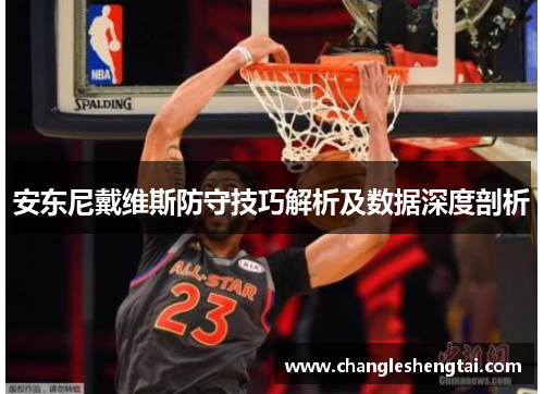 安东尼戴维斯防守技巧解析及数据深度剖析