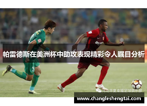 帕雷德斯在美洲杯中助攻表现精彩令人瞩目分析