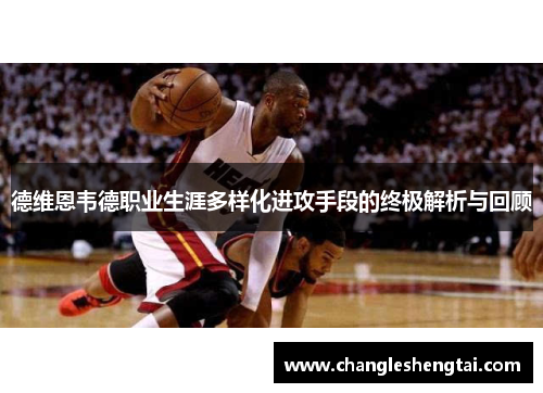 德维恩韦德职业生涯多样化进攻手段的终极解析与回顾