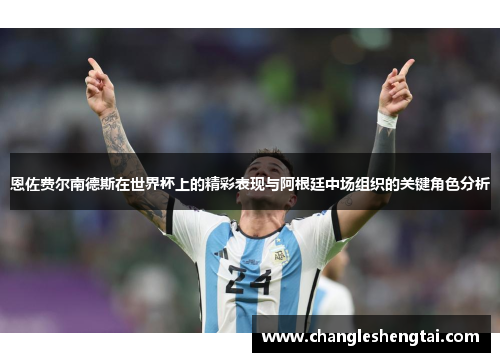 恩佐费尔南德斯在世界杯上的精彩表现与阿根廷中场组织的关键角色分析