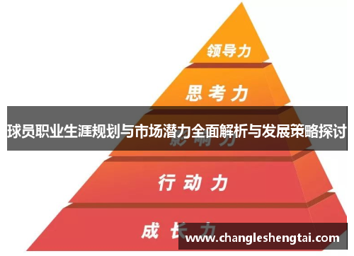 球员职业生涯规划与市场潜力全面解析与发展策略探讨