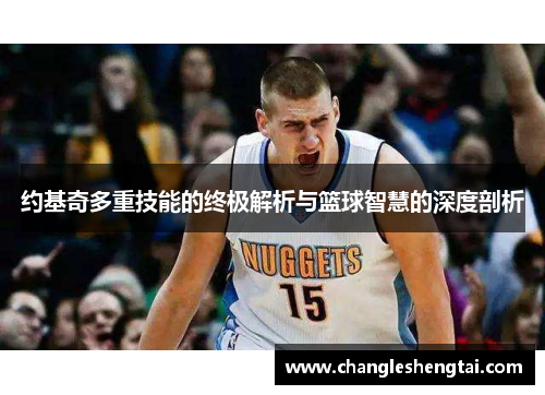 约基奇多重技能的终极解析与篮球智慧的深度剖析