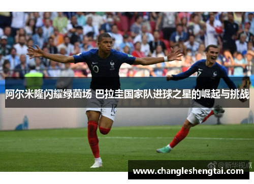 阿尔米隆闪耀绿茵场 巴拉圭国家队进球之星的崛起与挑战