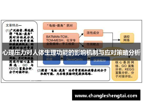 心理压力对人体生理功能的影响机制与应对策略分析