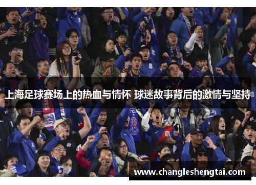 上海足球赛场上的热血与情怀 球迷故事背后的激情与坚持