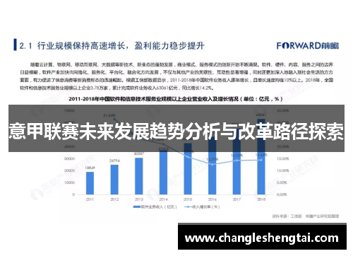 意甲联赛未来发展趋势分析与改革路径探索